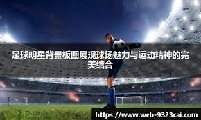 荷媒：范黑克不想与布莱顿续约，热刺和纽卡在关注他的情况