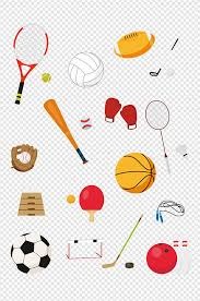 棒球与生物力学打击爆发力的产生路径