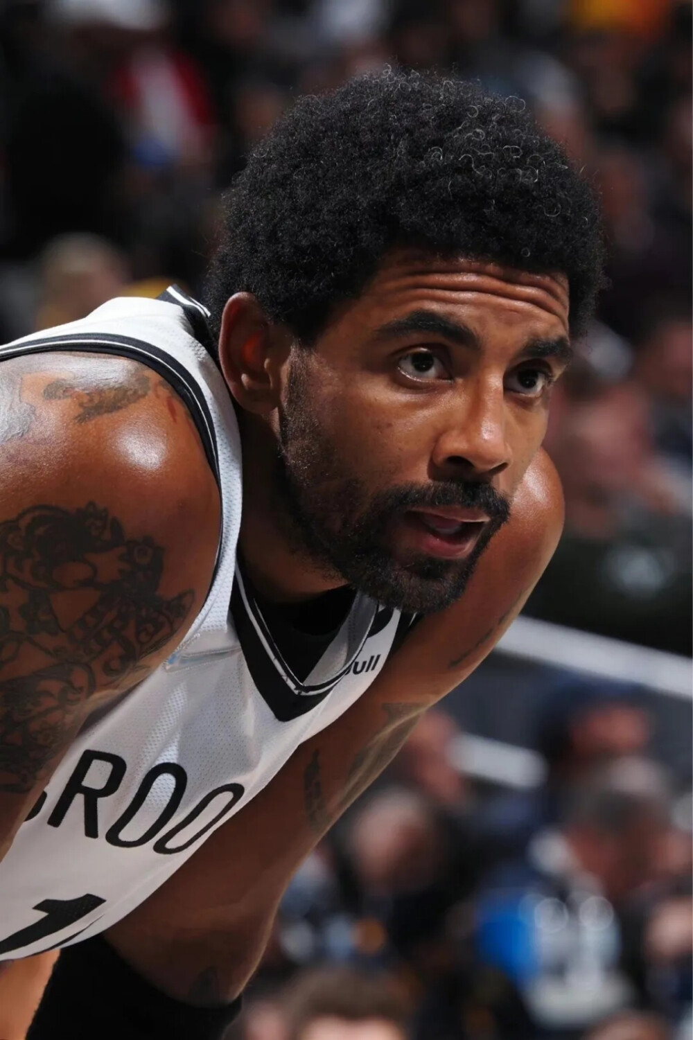 也可以借此 也可以借此